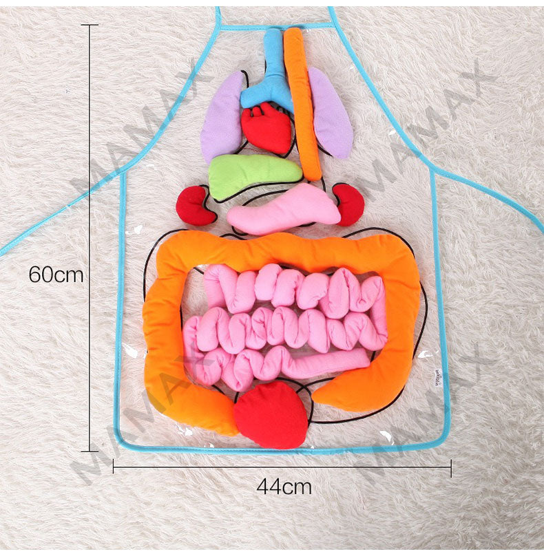 Baby Educational Montessori 3D Human Body Organs Apron STEM Toy/Preschool Teaching Aid✅