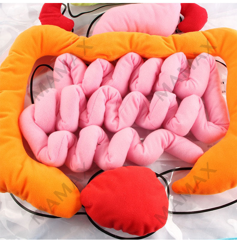 Baby Educational Montessori 3D Human Body Organs Apron STEM Toy/Preschool Teaching Aid✅