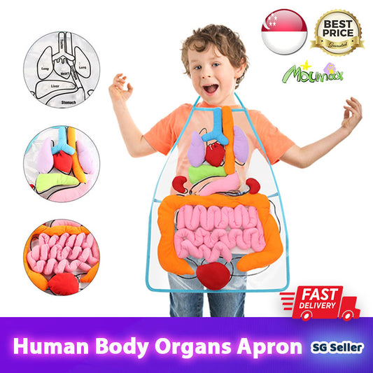 Baby Educational Montessori 3D Human Body Organs Apron STEM Toy/Preschool Teaching Aid✅