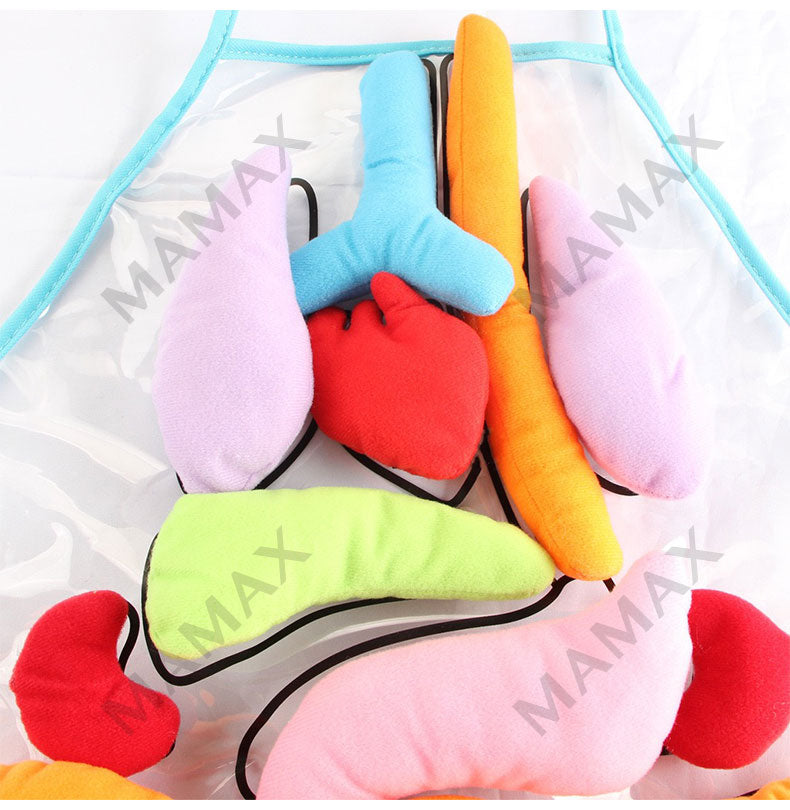 Baby Educational Montessori 3D Human Body Organs Apron STEM Toy/Preschool Teaching Aid✅