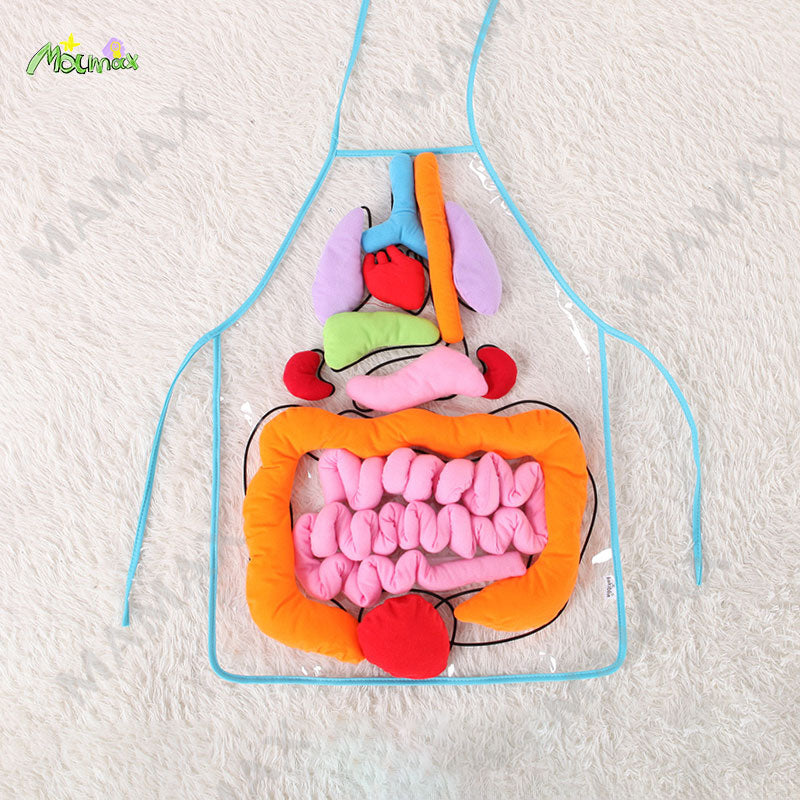 Baby Educational Montessori 3D Human Body Organs Apron STEM Toy/Preschool Teaching Aid✅