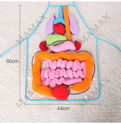 Baby Educational Montessori 3D Human Body Organs Apron STEM Toy/Preschool Teaching Aid✅