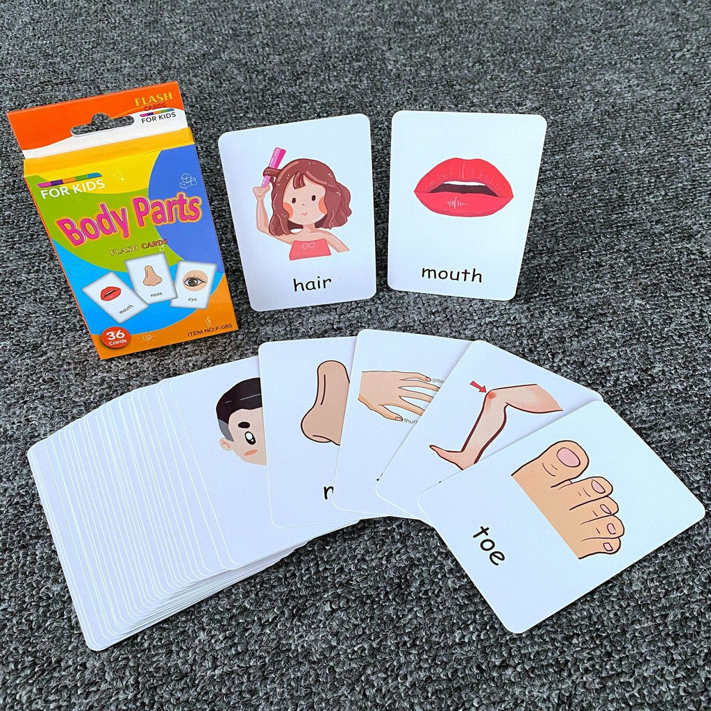 Early Learning Flash Cards for Toddler & Babies